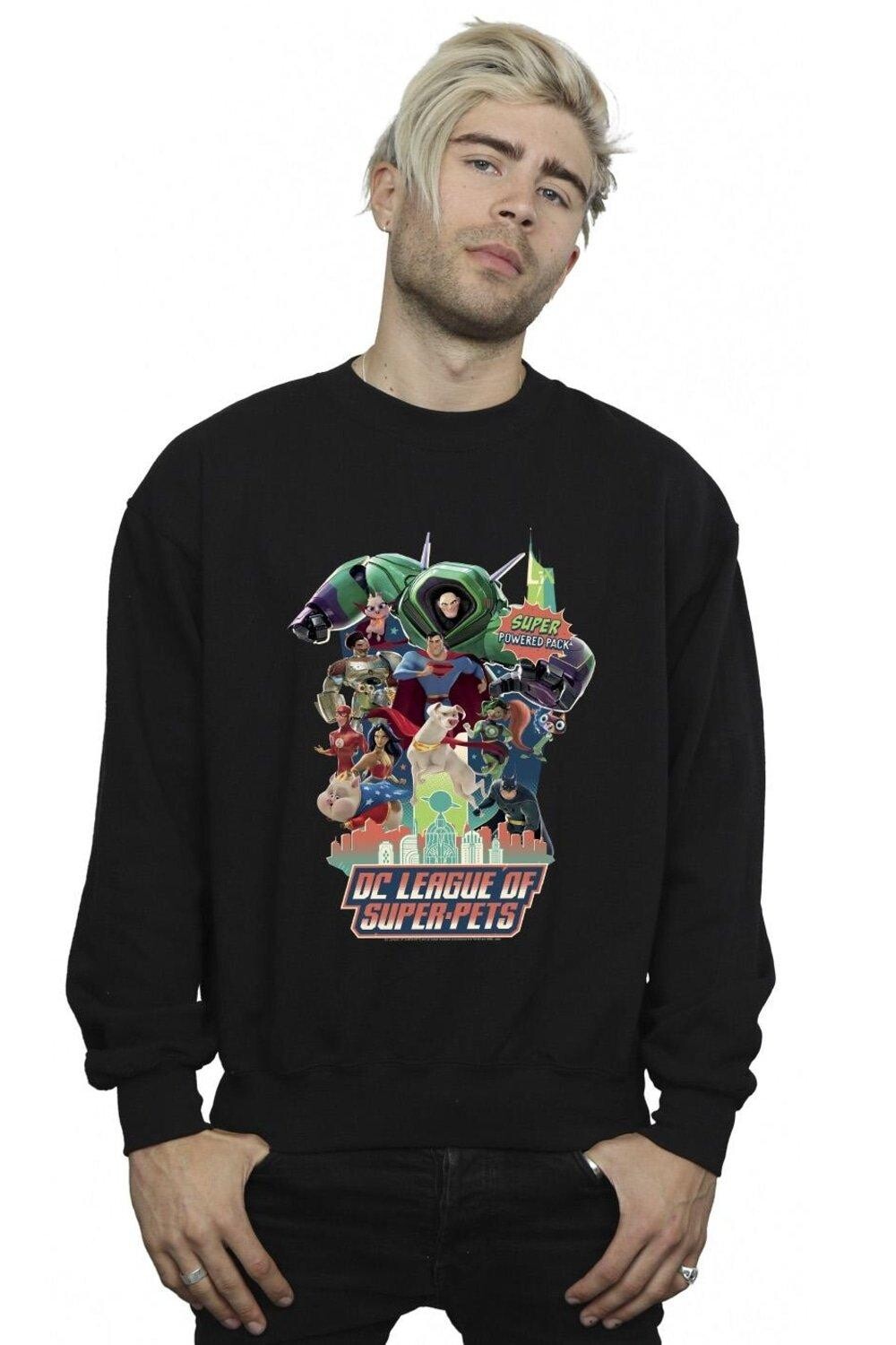

Толстовка DC League Of Super-Pets Super Powered Pack DC Comics, черный