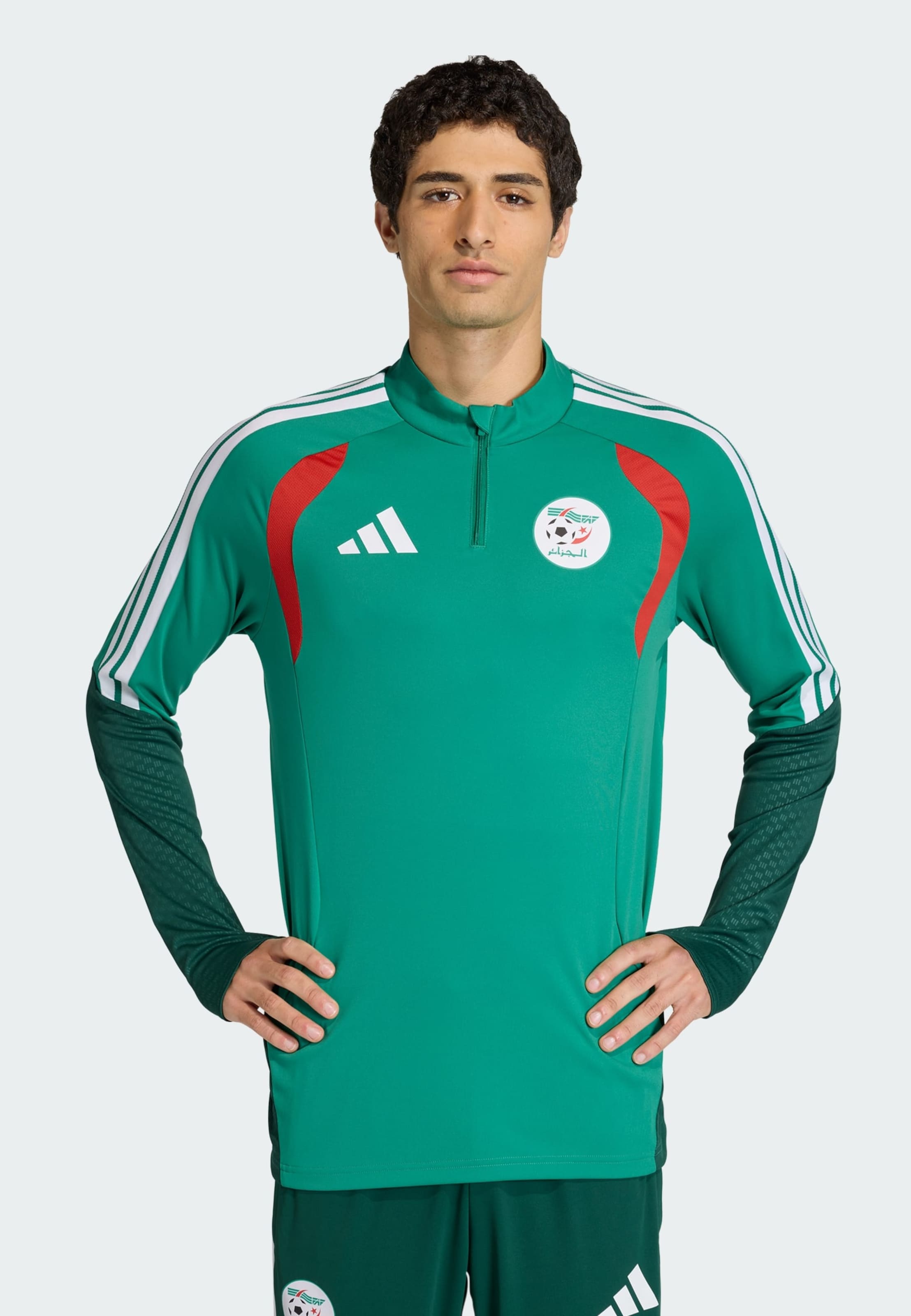 Adidas Performance Джерси 'Algeria 26' в зеленом цвете, нефритовый — фото 2
