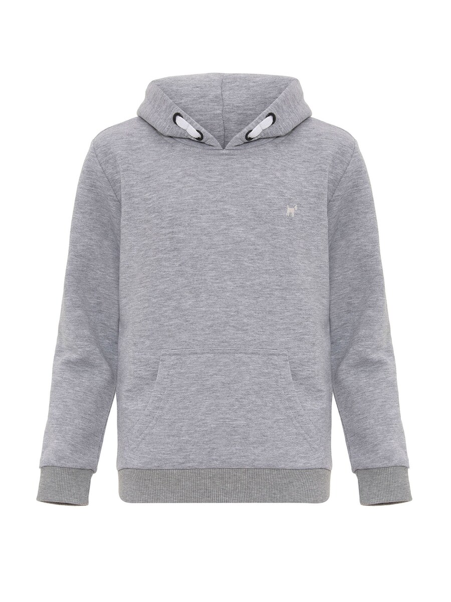 

Толстовка Williot, цвет Grey/mottled grey
