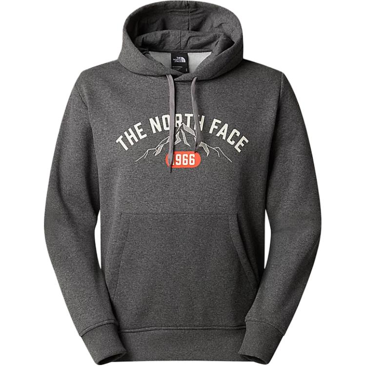 

Толстовка мужская серая THE NORTH FACE, серый