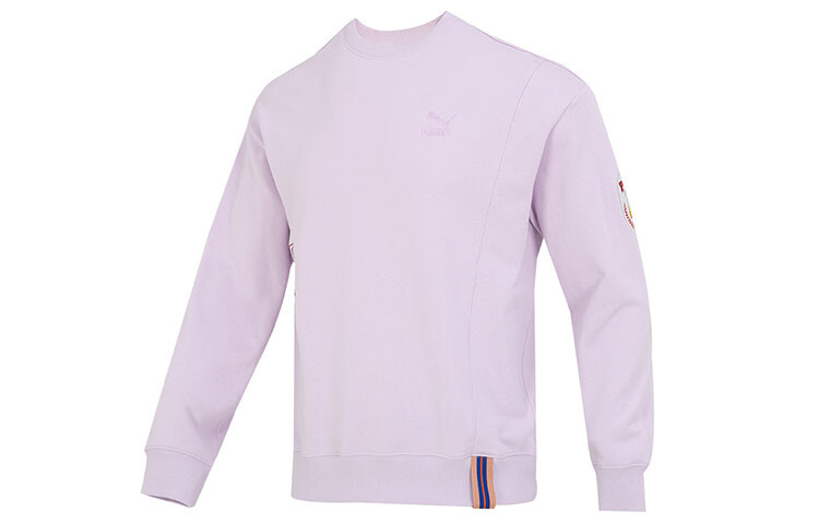 

Мужская толстовка с логотипом команды, сиреневая Puma, светло-фиолетовый