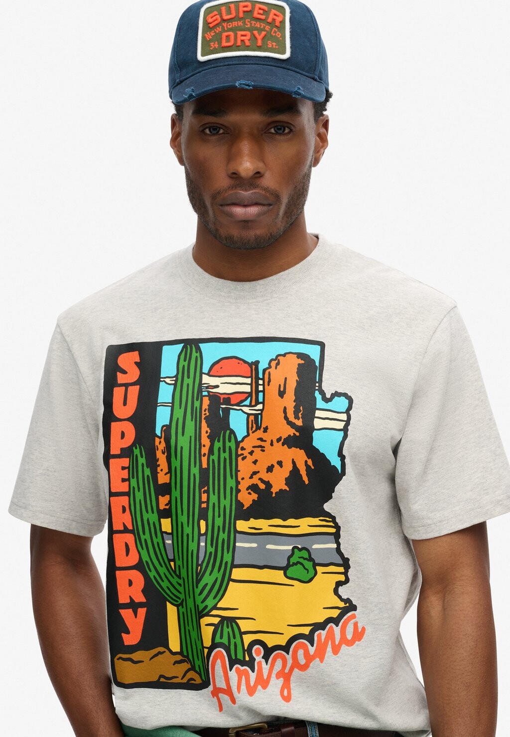 

Футболка с принтом TRAVEL POSTCARD GRAPHIC Superdry, светло-серый