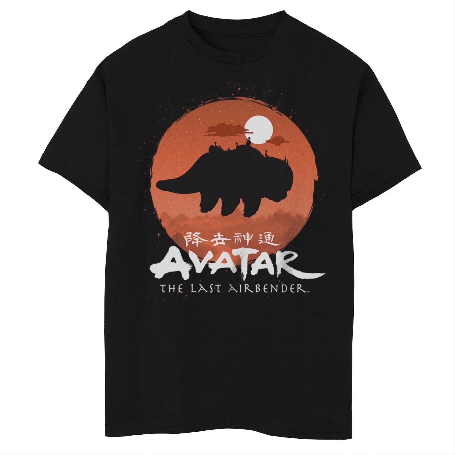 

Футболка Avatar Appa The Last Airbender для мальчиков 8–20 лет Licensed Character