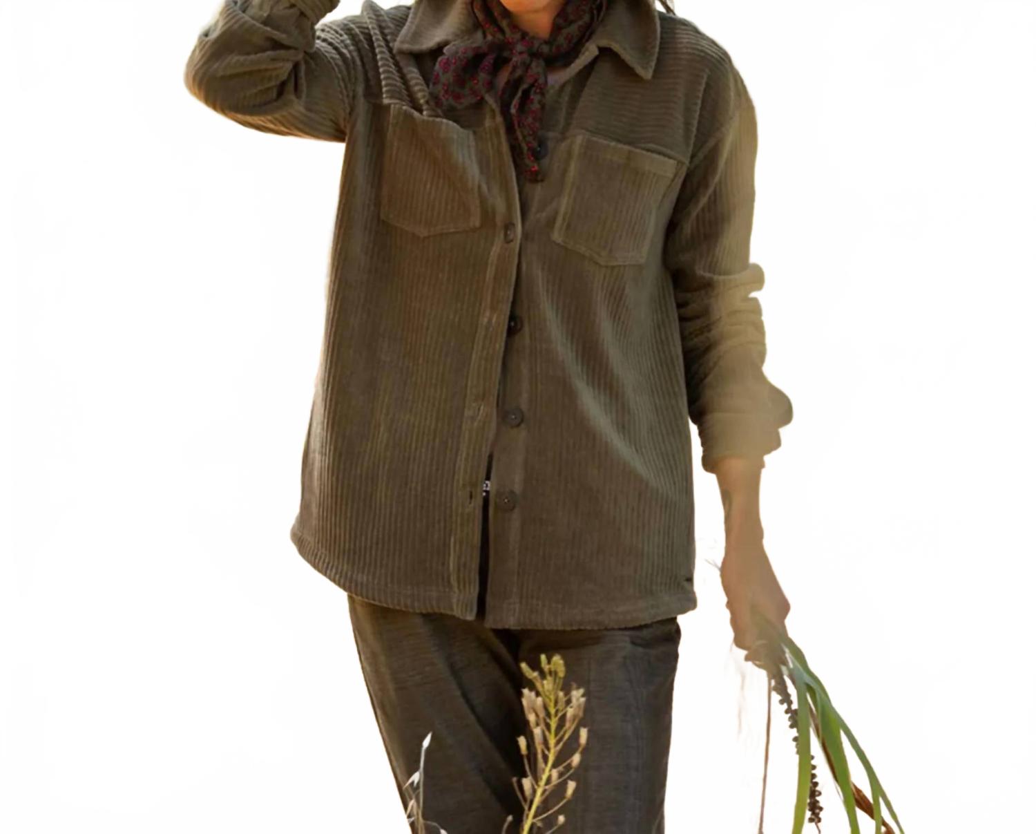 

Куртка-рубашка Hudson Stretch Cord Shacket из ели Carve Designs, fir