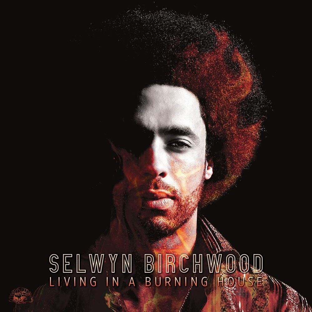 

Диск CD Living In A Burning House - Selwyn Birchwood