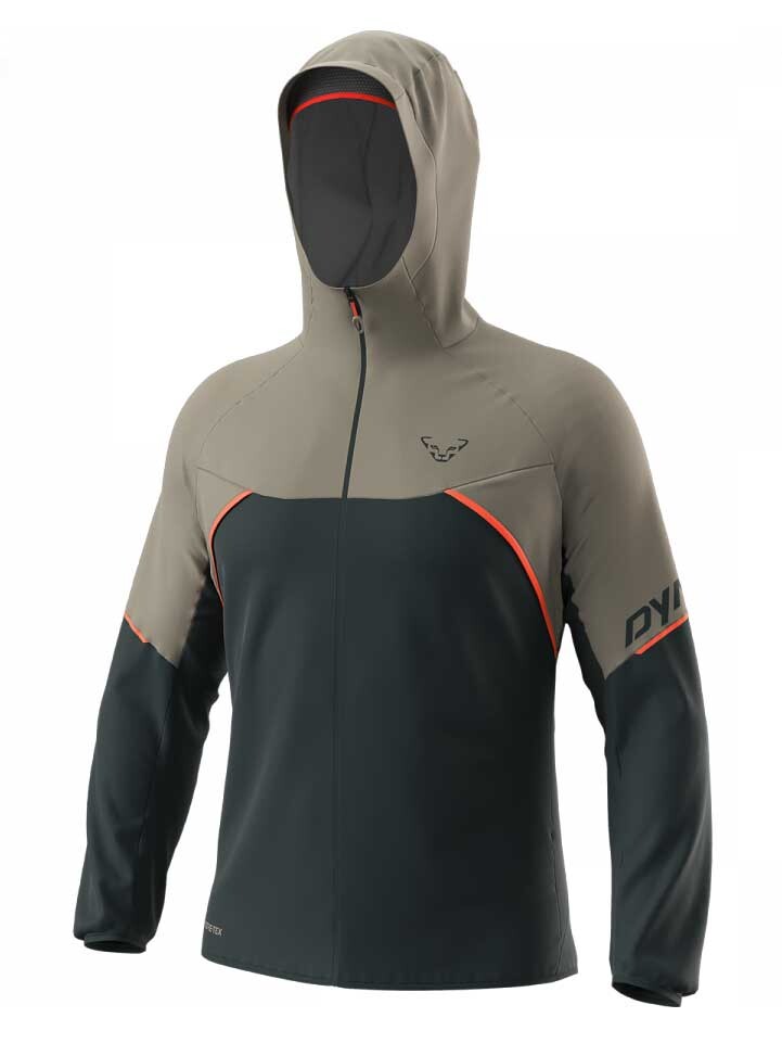 

Куртка Dynafit Alpine GORE-TEX, разноцветный