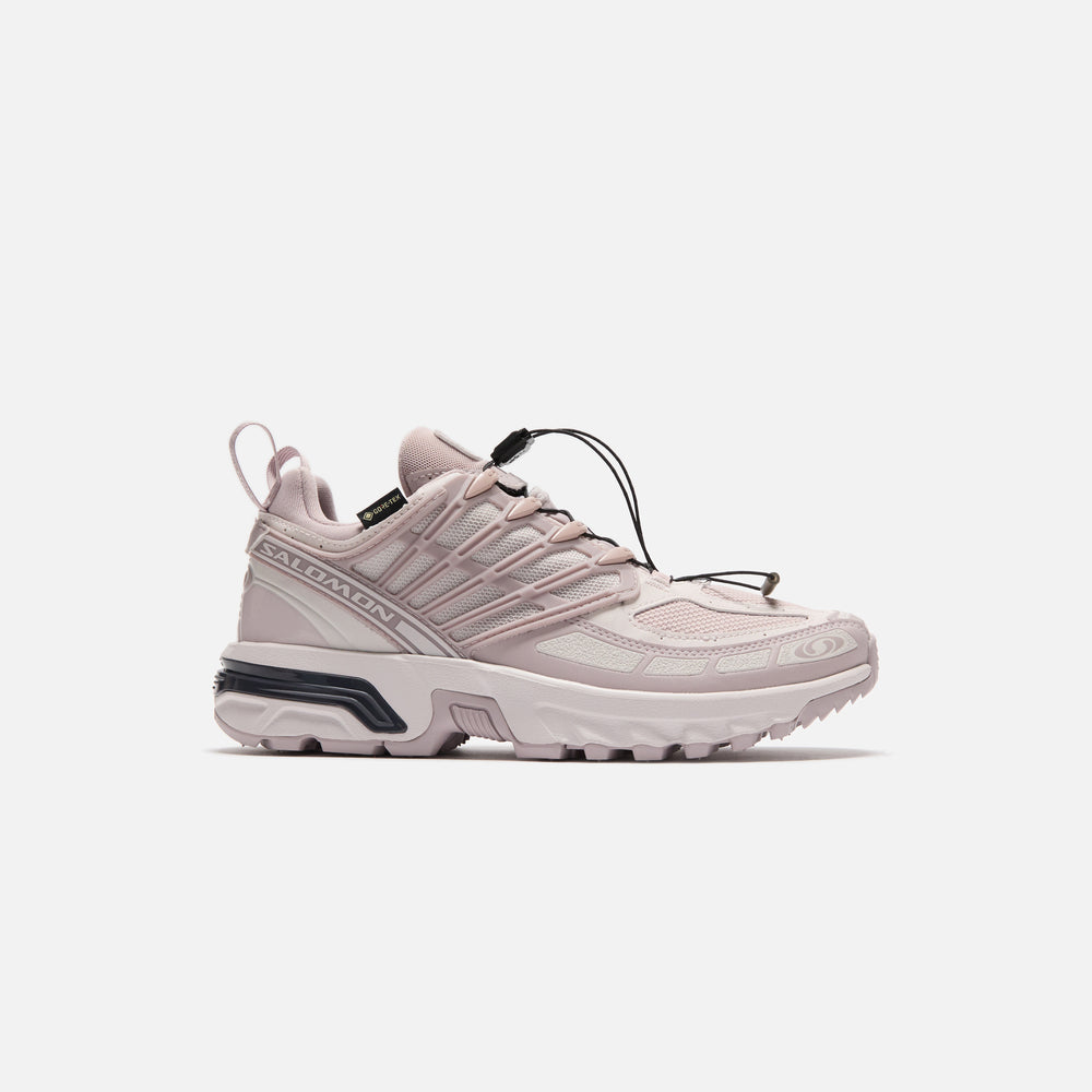 

Кроссовки Salomon ACS Pro Gore-Tex, цвет Cloud Gray/Lilac Ash/Nine Iron