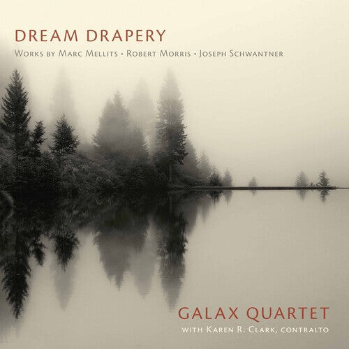

CD диск Mellits / Galax Quartet / Clark: Dream Drapery