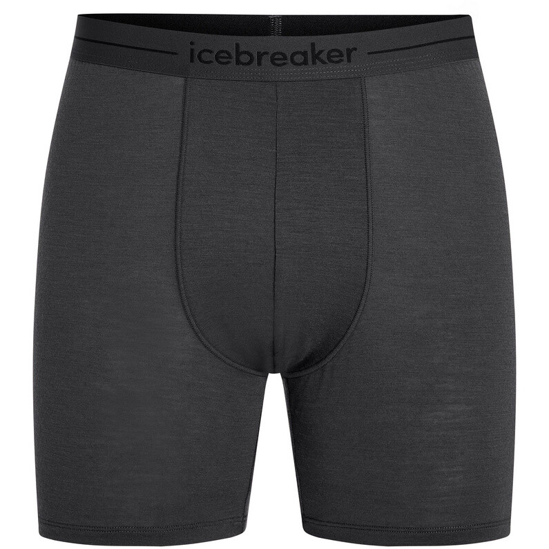 

Мужские длинные боксеры Anatomica Icebreaker, черный