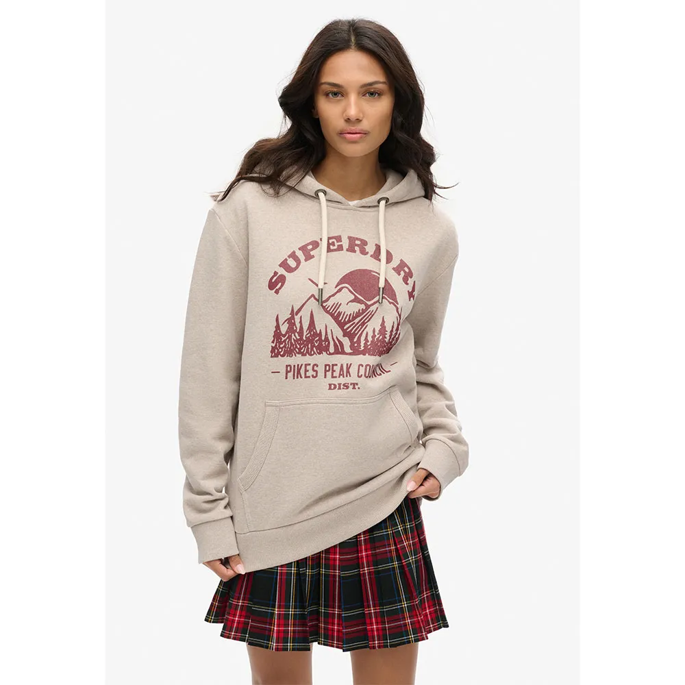 

Худи Superdry Lo-Fi Outdoor Graphic, бежевый