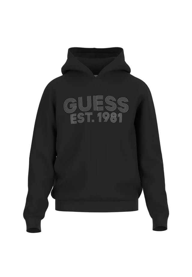 

Толстовка с капюшоном худи красавчик Guess, черный
