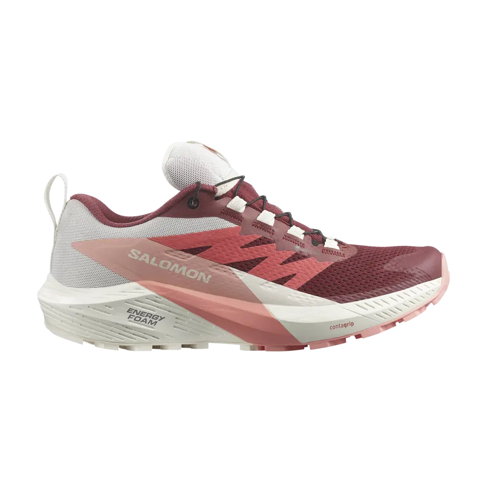 Кроссовки Wmns Sense Ride 5 GORE-TEX Salomon, розовый