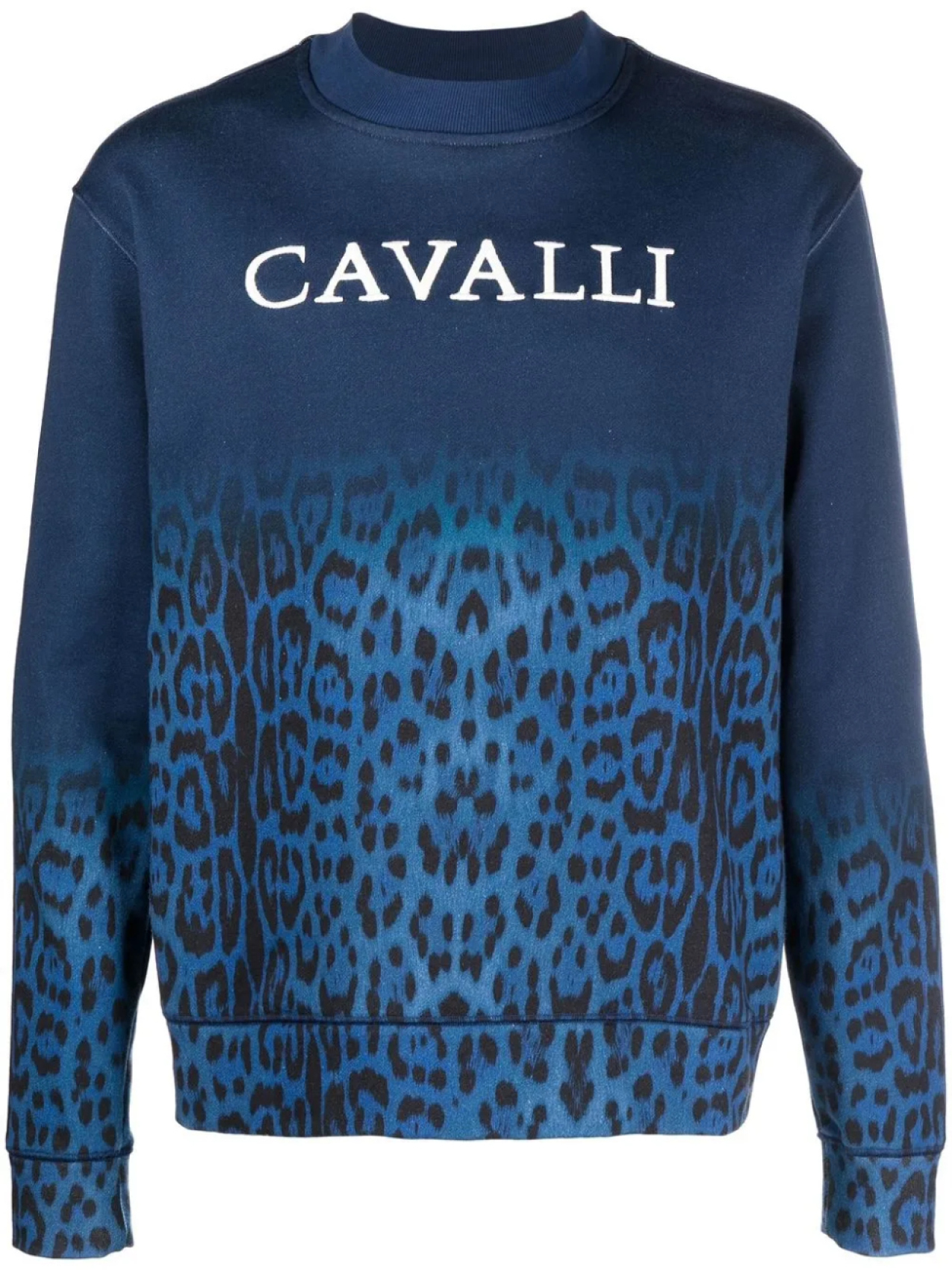 

Roberto Cavalli толстовка с леопардовым принтом, синий