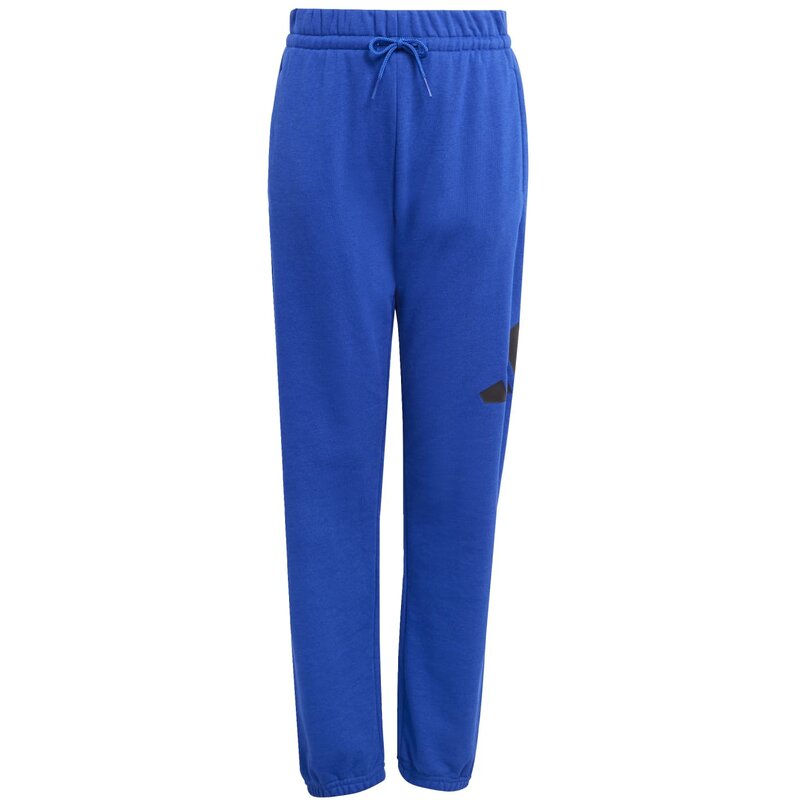 

Детские брюки Essentials Adidas, мультиколор