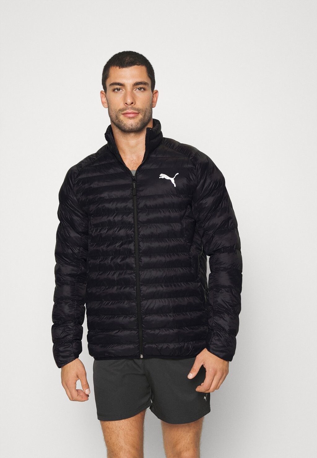 

Спортивная куртка Puma PACKLITE PRIMALOFT JACKET, цвет Black, Черный, Спортивная куртка Puma PACKLITE PRIMALOFT JACKET, цвет Black