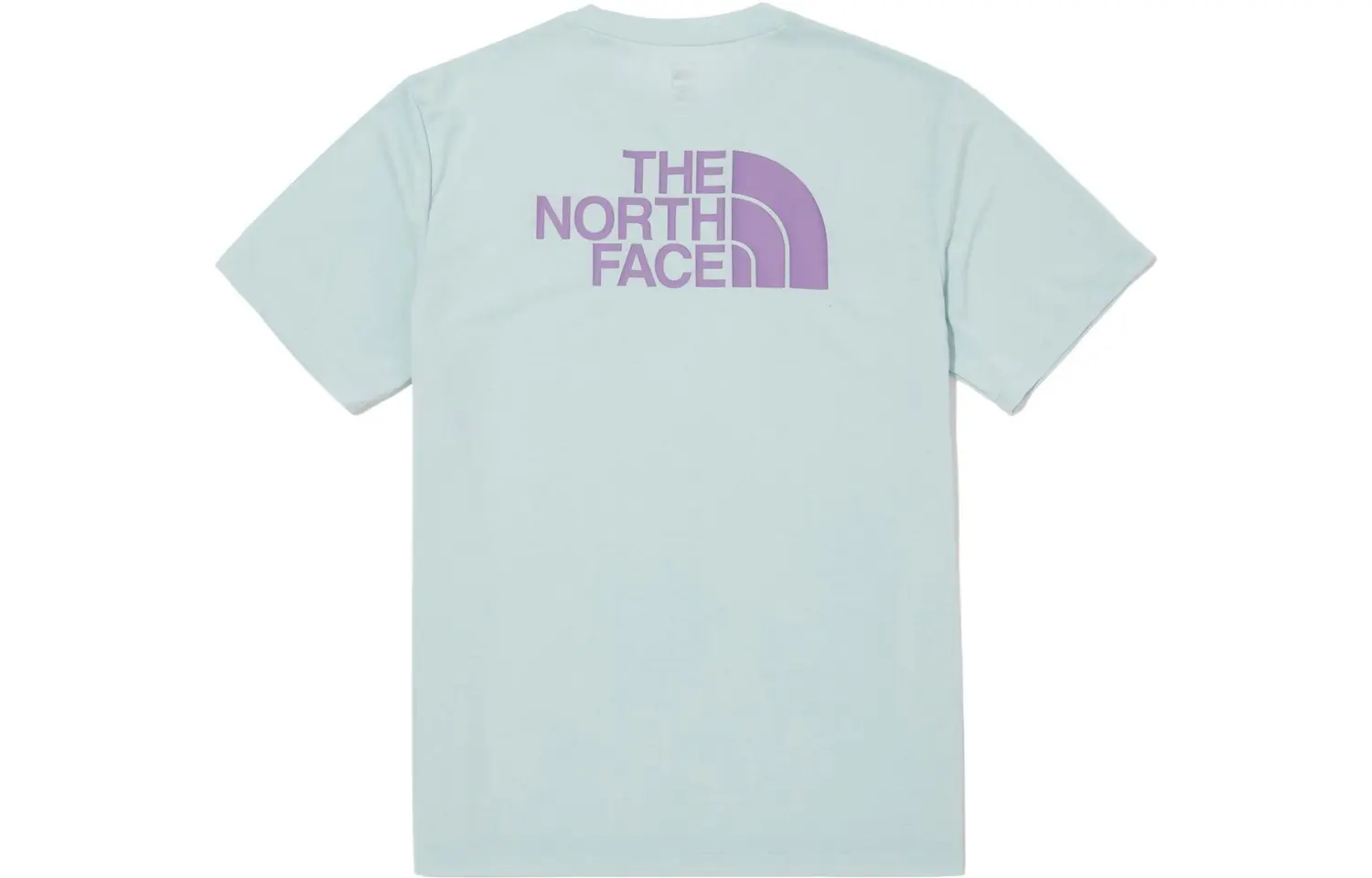 

THE NORTH FACE Мужская футболка, цвет Blue