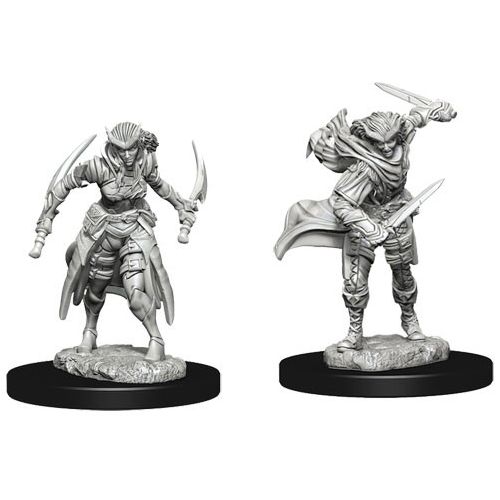 

Фигурки Dungeons & Dragons: Nolzur’S Marvelous Unpainted Miniatures: Tiefling Female Rogue (Wave 7) WizKids