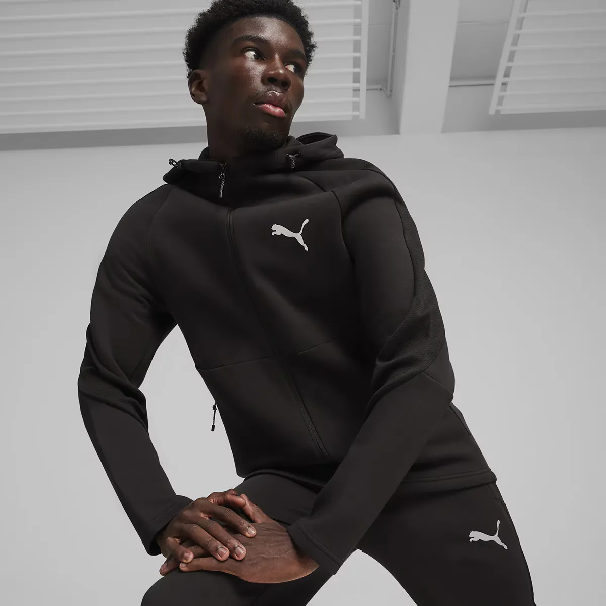 

Мужская толстовка с капюшоном Evostripe Full-Zip Hoodie темная Puma, черный