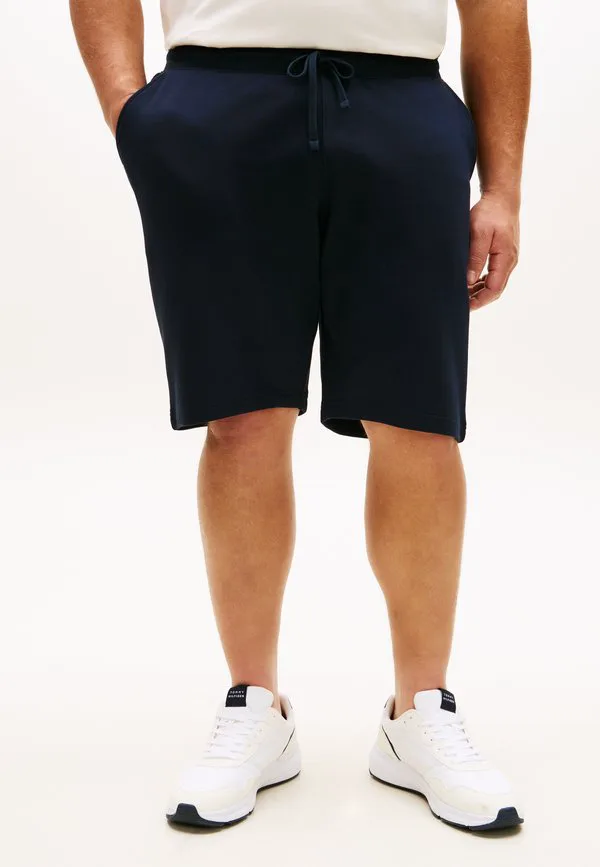 Плюс вышивка флага, махровые спортивные шорты, спортивные штаны Tommy Hilfiger, Desert Sky