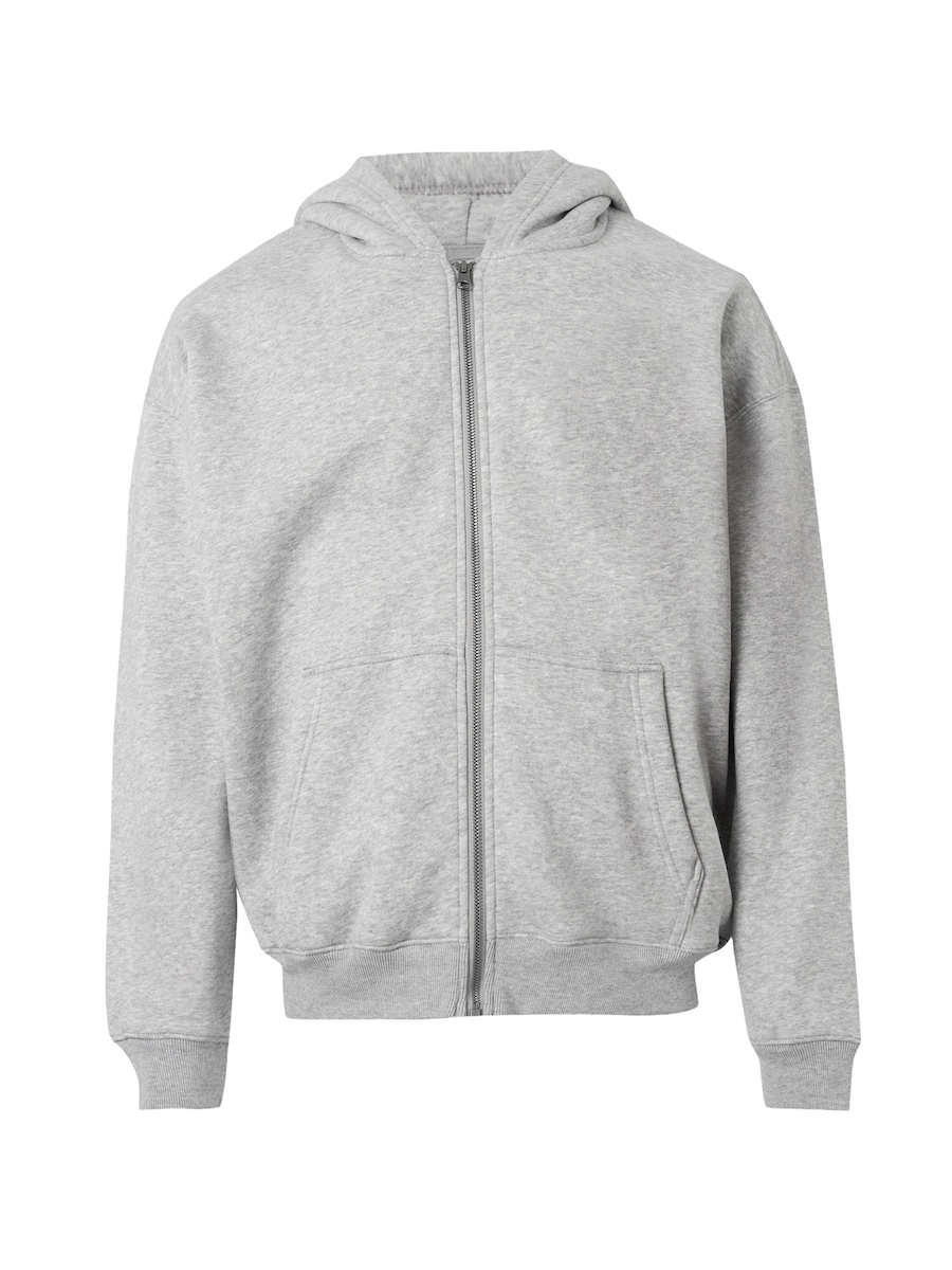 

Толстовка с капюшоном на молнии HOLLISTER, светло-серый