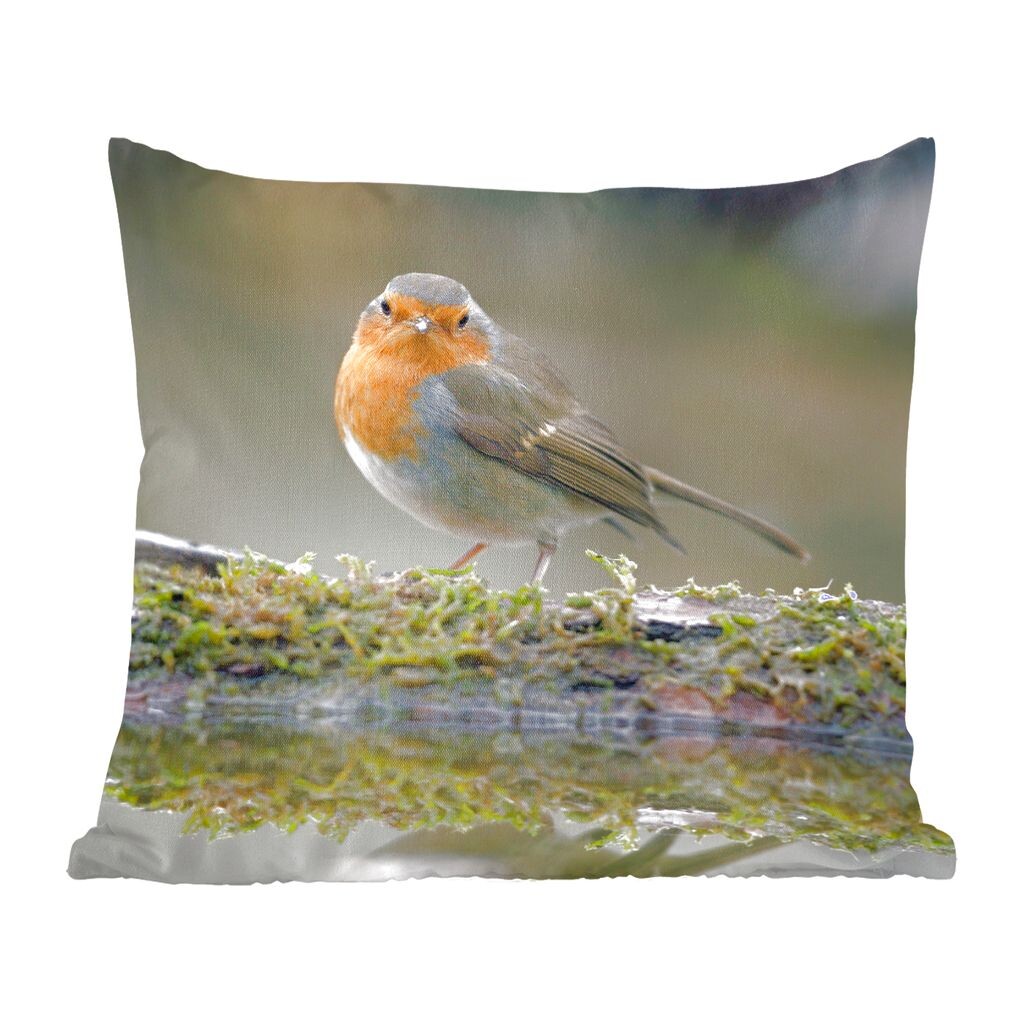 

Декоративная подушка MuchoWow, диванная подушка, декоративная подушка для гостиной, 60 х 60 см, малиновка - вода - мох - чехол на подушку - хлопчатобумажная ткань - декоративные наволочки