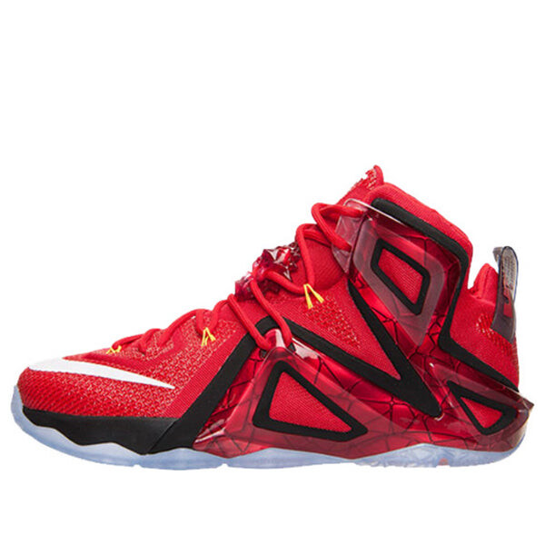 

Кроссовки lebron 12 elite 'team' Nike, мультиколор