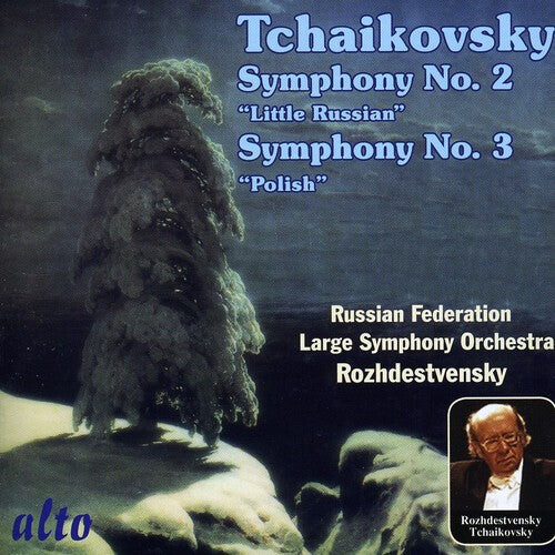 

CD диск Tchaikovsky / Large Sym Orch Russian Federation: Symphonies Nos. 2