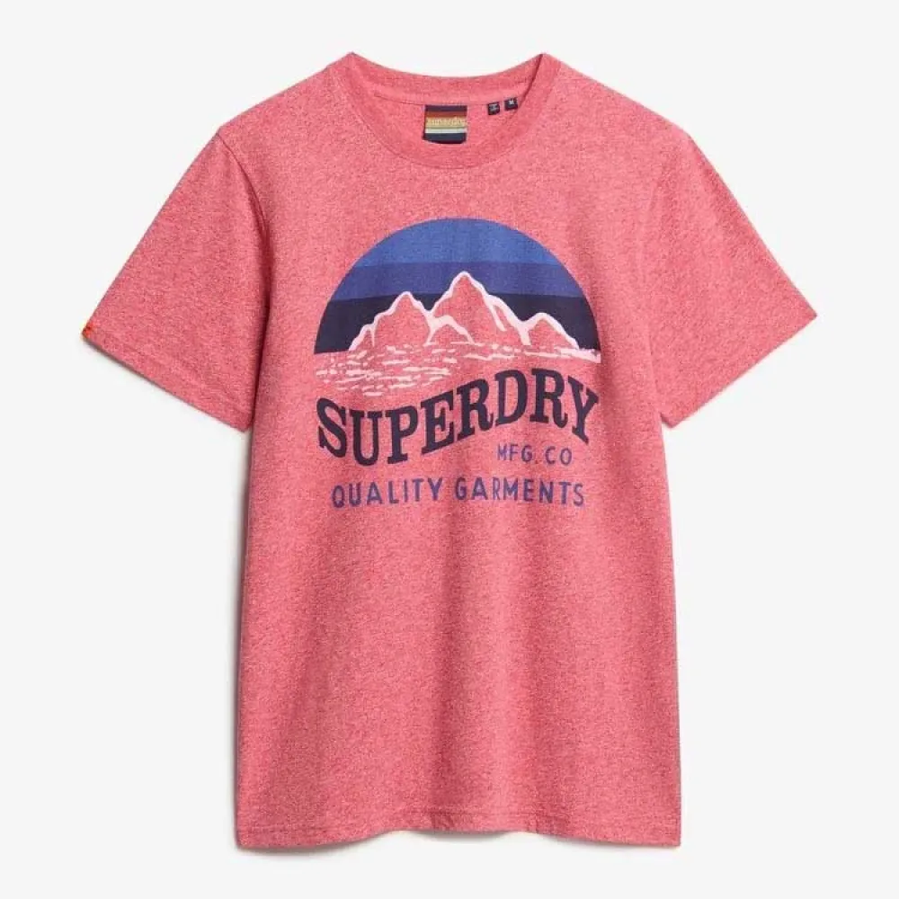 Футболка с коротким рукавом Superdry Cl Great Outdoors Relaxed, розовый — фото 3