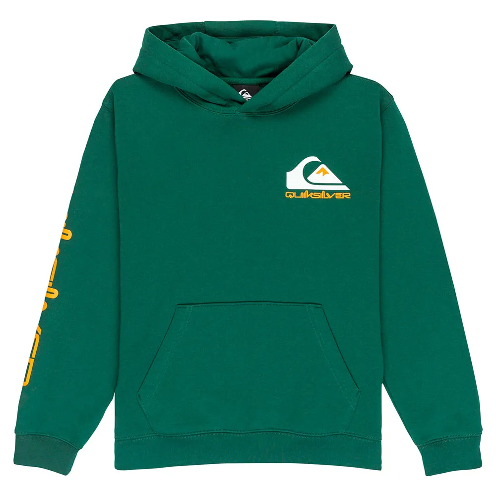 

Худи Quiksilver Omni Logo, зеленый
