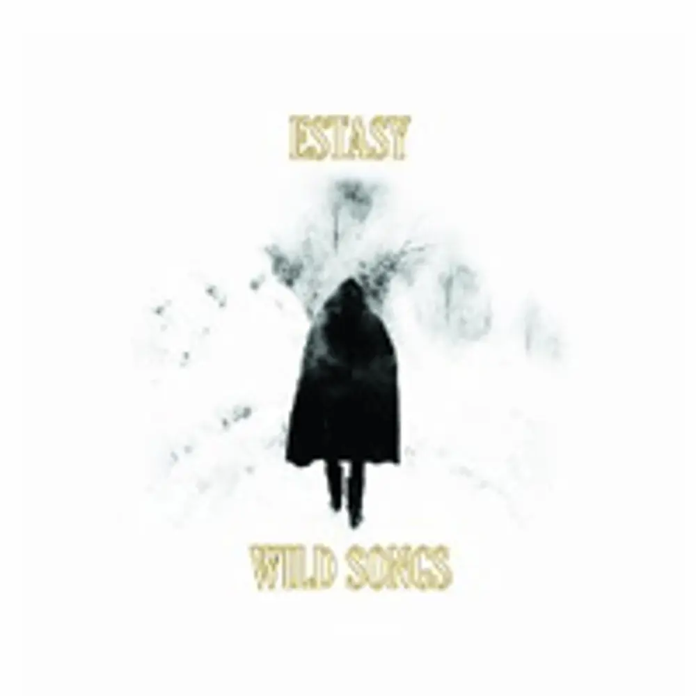 

Виниловая пластинка LP Wild Songs - Estasy