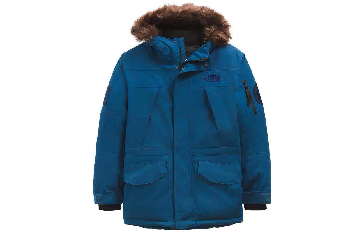 

THE NORTH FACE Мужской пуховик, цвет Blue