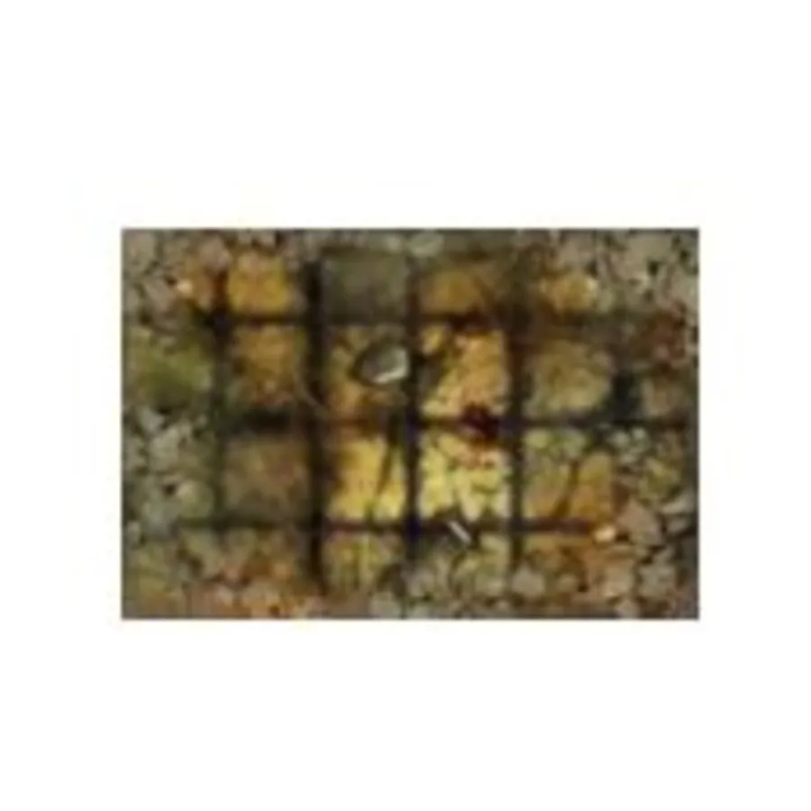 

Шаблоны фэнтезийных зданий, Terrain Crate - Battle Mats