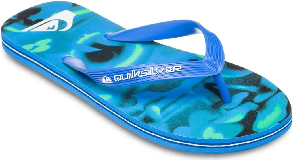 Мужские сандалии Quiksilver Molokai Art 25, синий