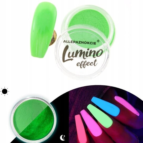 

Светящаяся в темноте пудра Fluo Lumino Effect 12, 2 г AllePaznokcie