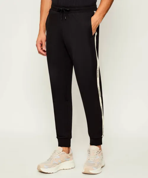 

Спортивные штаны Regular fit Ea7, черный