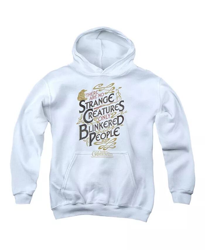

2 Молодежная толстовка с капюшоном Blinkered People Pull Over Hoodie / Толстовка с капюшоном Fantastic Beasts, белый