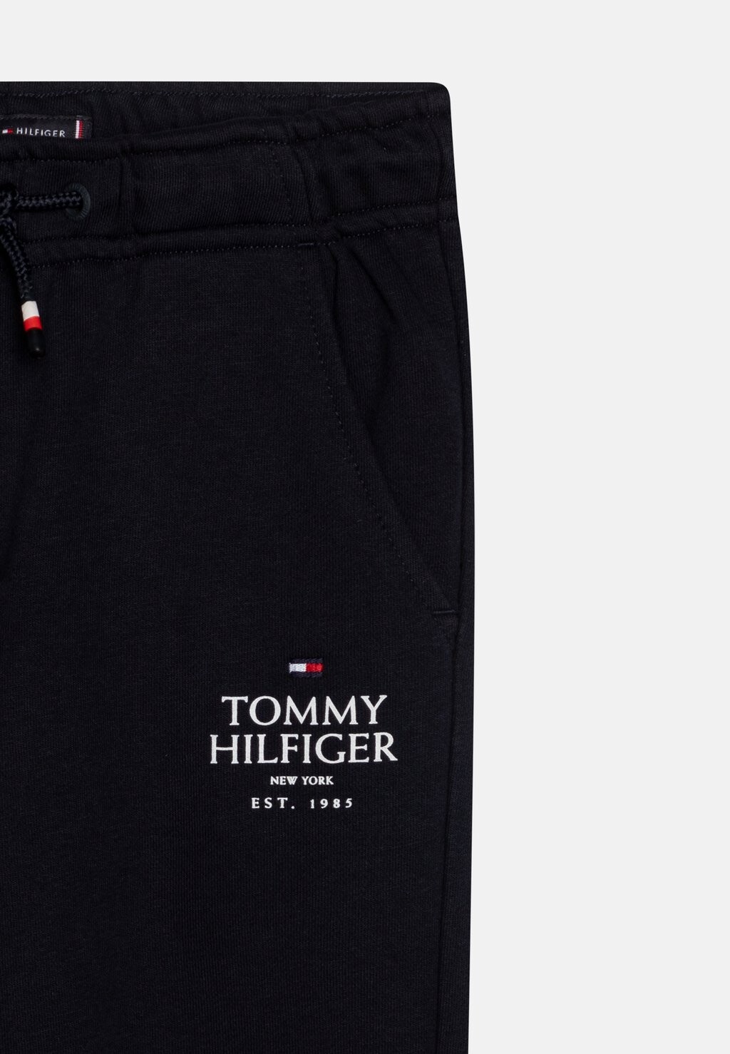 

Спортивные штаны LOGO PUFF PRINT Tommy Hilfiger, темно-синий