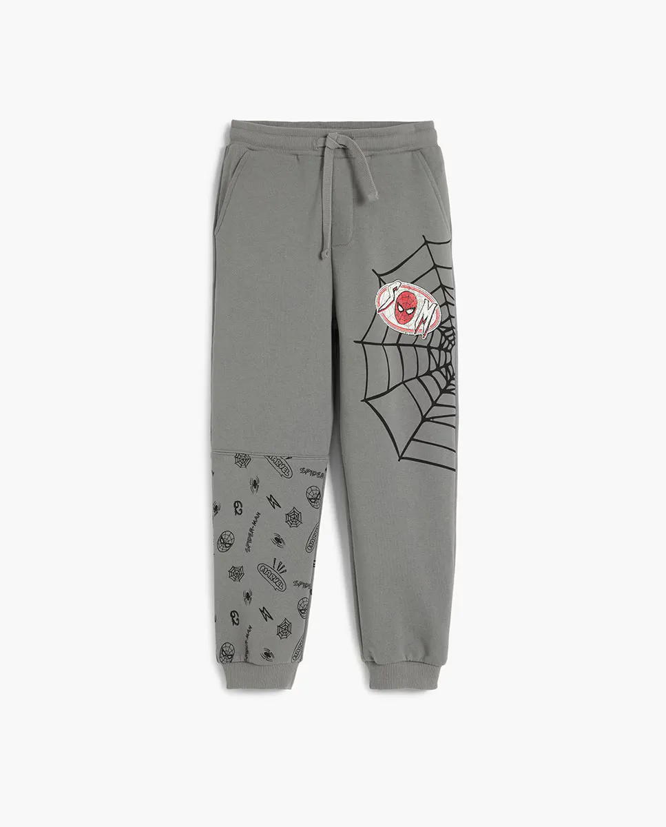 

Брюки для джоггеров Boy's Spiderman Desigual, темно-серый