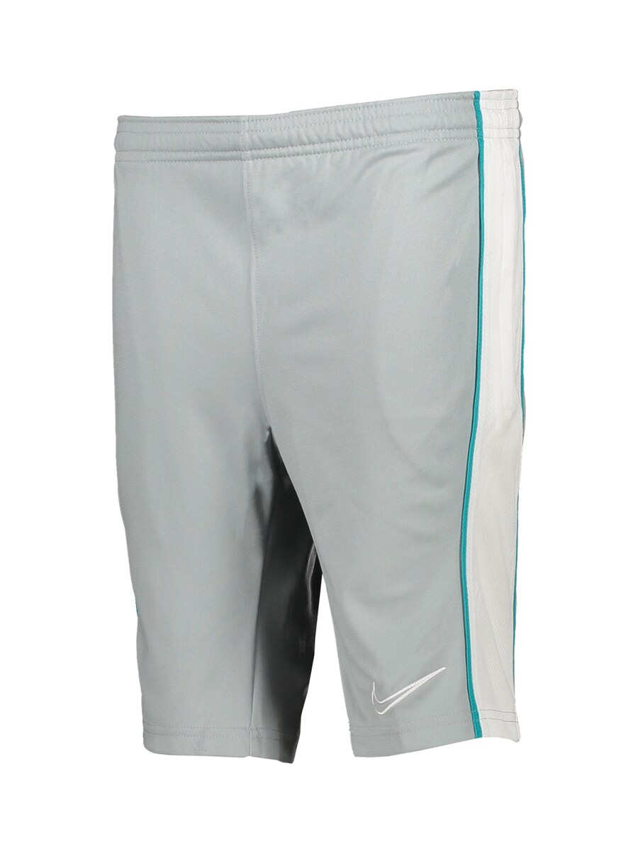 

Обычные спортивные штаны NIKE, серый