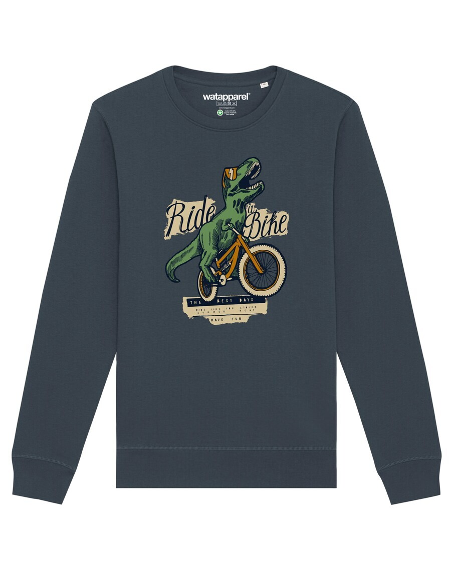 

Свитер Watapparel Sweatshirt T-Rex Fahrrad, антрацит