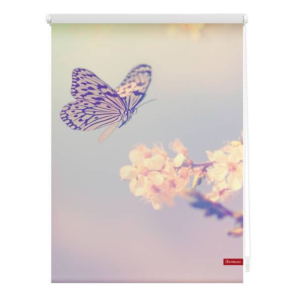 

Рулонные шторы Lichtblick Schmetterling, 45x150x6 см цвет pastell