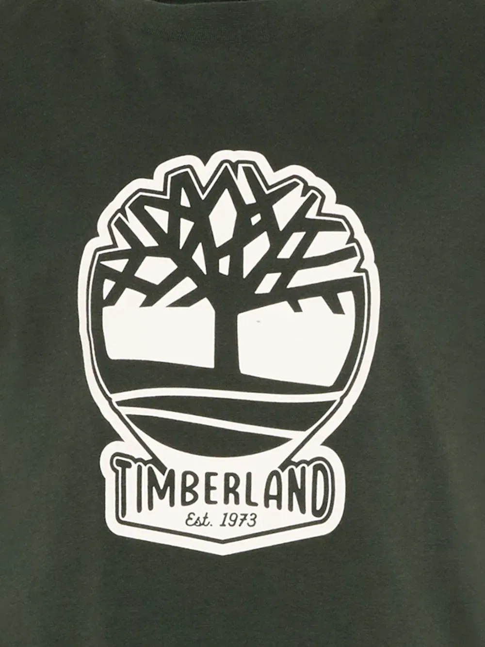 Футболка с коротким рукавом и принтом логотипа Timberland Kids, зеленый — фото 3