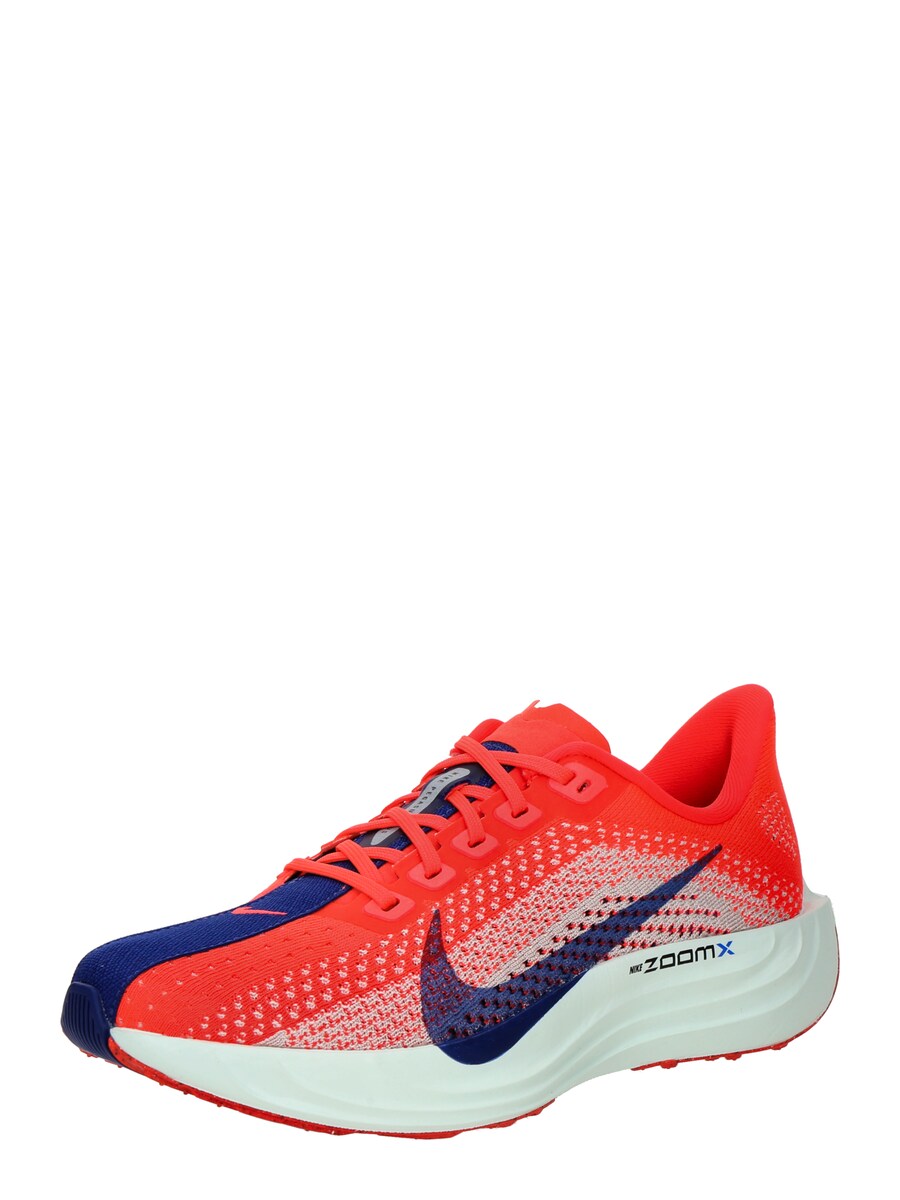 Беговые кроссовки NIKE Pegasus Plus, Mixed colors