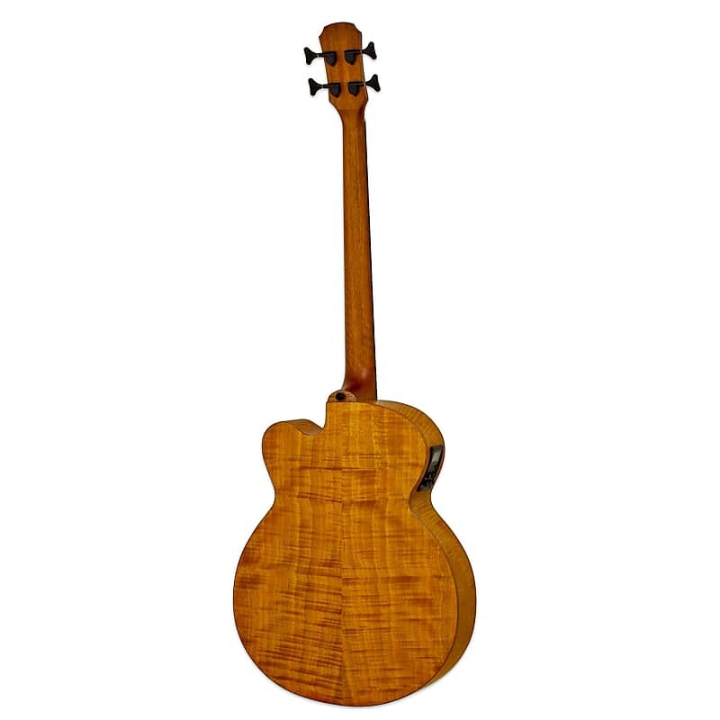 

Басс гитара Aria FEB-F2/FL-STBR Flame Nato Top Nato Neck 4-String Fretless Acoustic Bass Guitar w/Gig Bag - Stained Brown