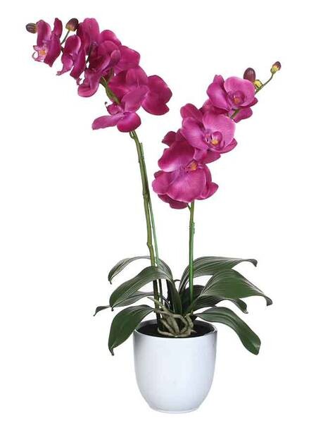 

Декоративное растение Mica Decorations Phalaenopsis, фиолетовый