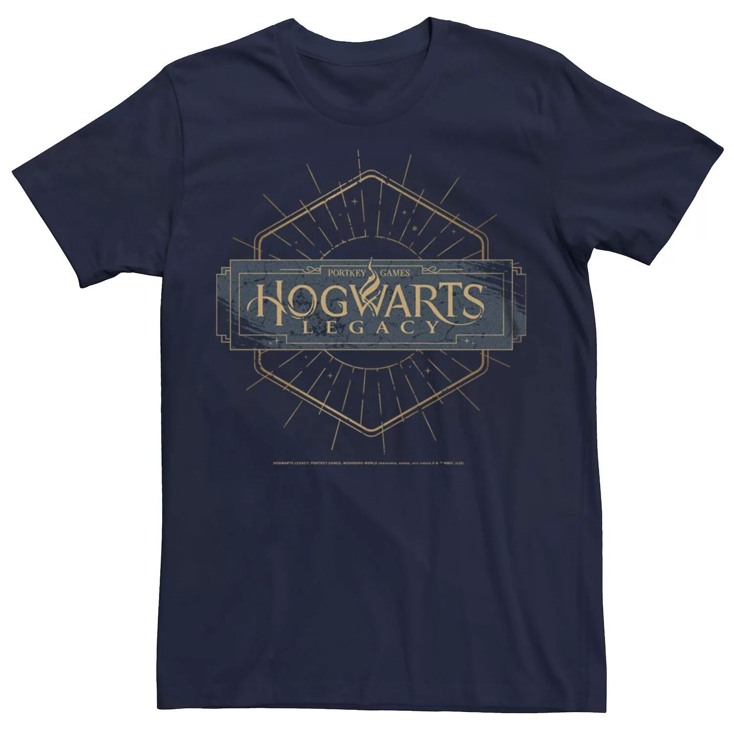 

Мужская футболка Hogwarts Legacy Portkey Games Licensed Character