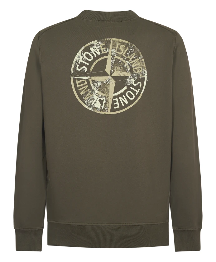 Институциональная толстовка номер пять Stone Island, зеленый — фото 2