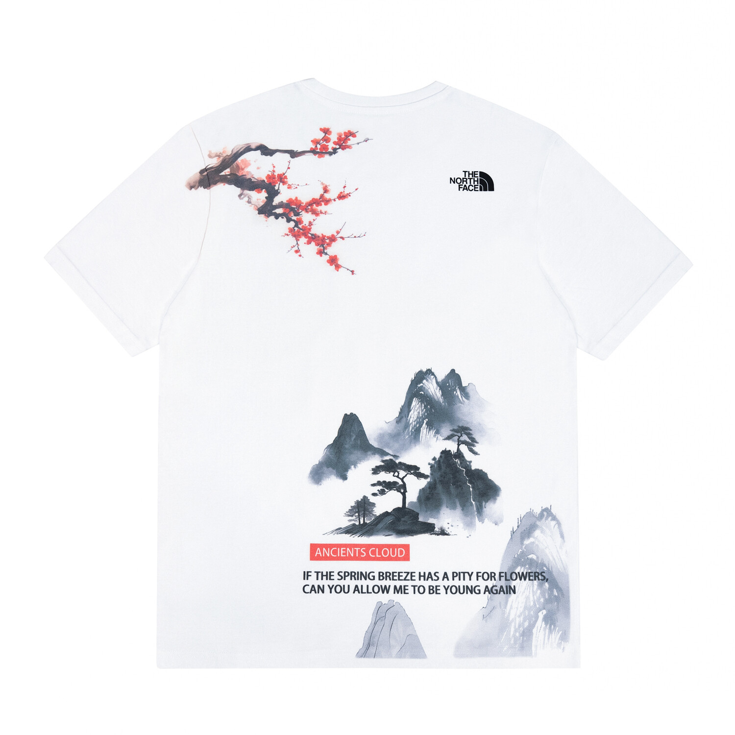 

Футболка унисекс белая The North Face, белый