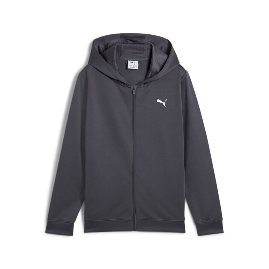

Спортивная толстовка с капюшоном на молнии PUMA, цвет Basalt grey