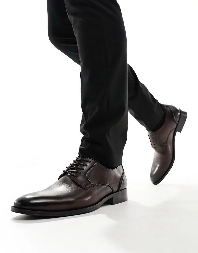 

schuh – коричневые кожаные туфли дерби Reilly, Серый, schuh – коричневые кожаные туфли дерби Reilly